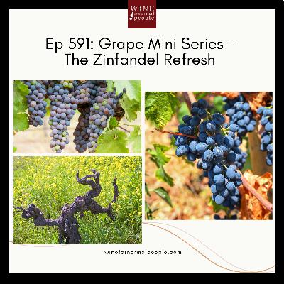 Ep 591: Grape Mini Series - The Zinfandel Refresh