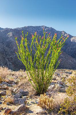 How to Set Powerful Affirmations