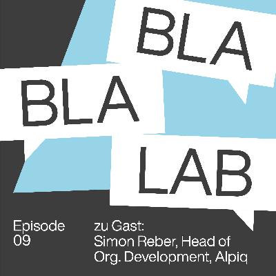 Simon Reber: Wie führt man eine Organisation mit einer Story?