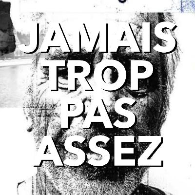 Les réseaux français d'Epstein