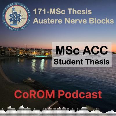 171-MSc Thesis Austere Nerve Blocks