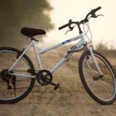 La Bicicleta