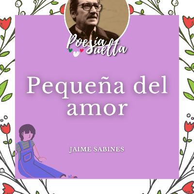 Pequeña del Amor de Jaime Sabines