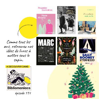 Épisode 194 Nos idées de livres à mettre sous le sapin - collection Noël 2024 !