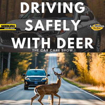 Driving Safe With Deer; Driver Debt, and Top 2023 Cars.