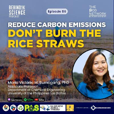 Ep86 - Sustainable management of rice straws