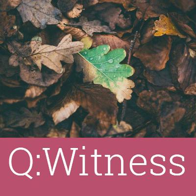 #21 – Q:Witness – Spiritual activism #21 – Q:Witness – Spiritual activism
