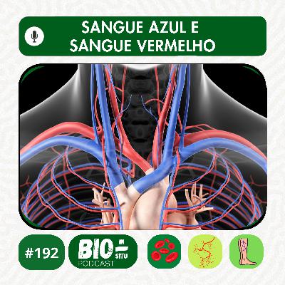 192 - Sangue azul e sangue vermelho 192 - Sangue azul e sangue vermelho