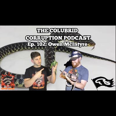 When a Python Guru's Collection is Insanely Diverse w/ Owen McIntyre | Colubrid Corruption | Ep. 102