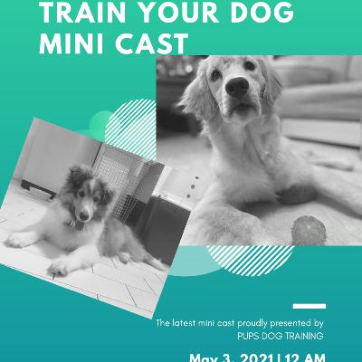 TYD007 - The Art of Hand Feeding TYD007 - The Art of Hand Feeding