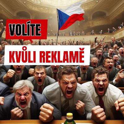 Reklama v politice volí za nás