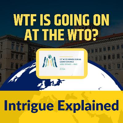 WTF is going on at the WTO WTF is going on at the WTO