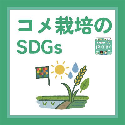#28. コメ農家がSDGsに取り組むメリットはなんだろう？（#科学系ポッドキャストの日）