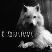 Os Diários Esquecidos - Histórias de Terror