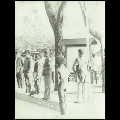 Ravenswood High School in East Palo Alto - a star of desegregation or a victim to flawed planning?