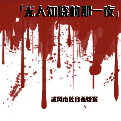 E69 无人知晓的那一夜：武冈市长自杀疑案