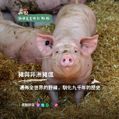 EP113 豬 🐷 席捲世界的非洲豬瘟❗豬的驚人野化超能力