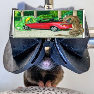 PodcastVR ratonesVR y dragones calientes en tu zona( noticias y que estamos jugando)