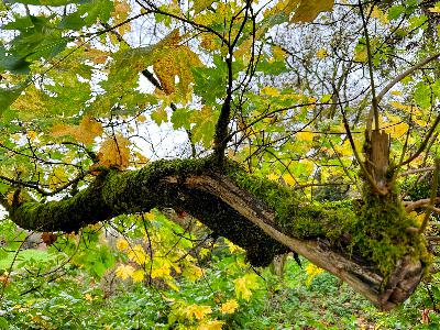 Your Reality Isn’t What You Think: A Story About the Power of Awareness