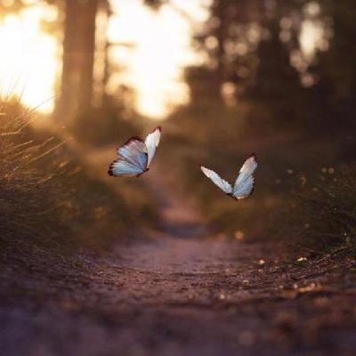 Poesía filosófica. Adentrándonos en el poder de la escritura. Entrevista a Teresa Cubas Lara.