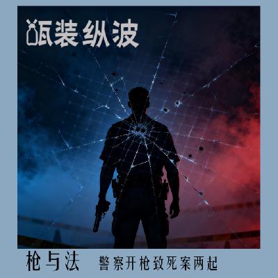 13.枪与法：警察开枪致死案两起