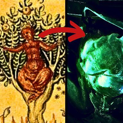 Occult Book Club #15: How to CREATE a REAL HOMUNCULUS [The Alchemical Arts] with Paranoid American