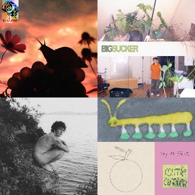 Big in Canada's Favourite Albums of 2025 Pt. 1