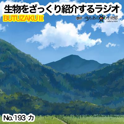 第93話：✉️「カ」をざっくり紹介