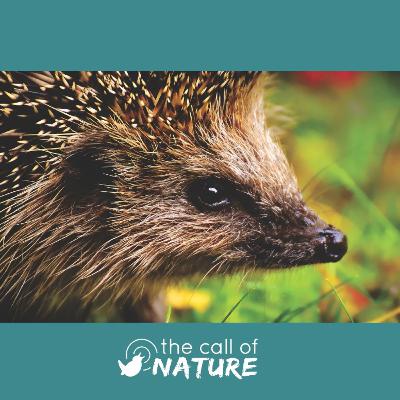 Episode 6 "Spiky Houseguests and a Graveyard Raver"