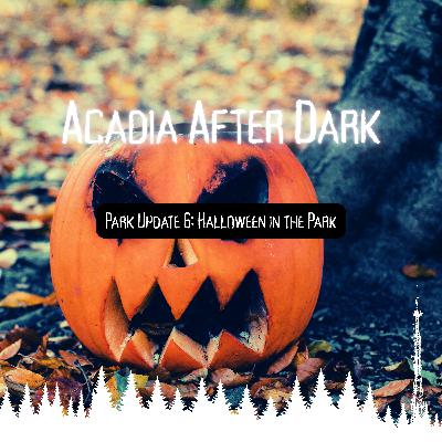 Acadia After Dark Park Update 6