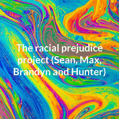 Racial prejudice project