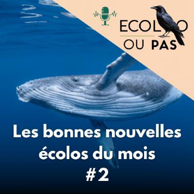 Les bonnes nouvelles écolos du mois #2