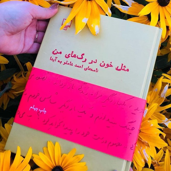 مثل خون در رگ های من مثل خون در رگ های من