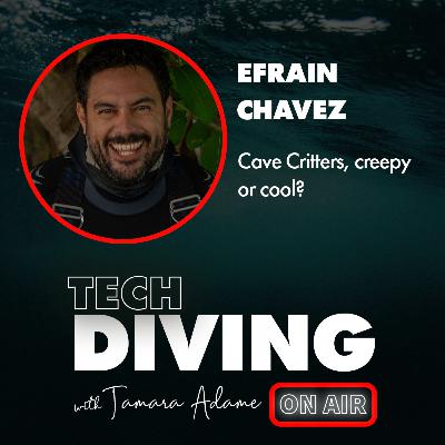 Cave Critters, creepy or cool? Efrain Chavez