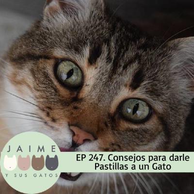 Ep 247 Darle una Pastilla a Un Gato