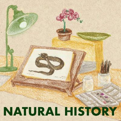 #11 The Art of Science | Natural History Illustrations from 19th-Century Singapore #11 The Art of Science | Natural History Illustrations from 19th-Century Singapore