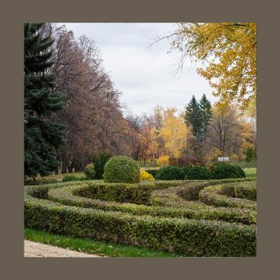#195 Un Maestro del Giardino che Sapeva Ascoltare la Natura
