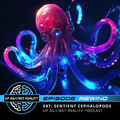 Episode Rewind: Sentient Cephalopods