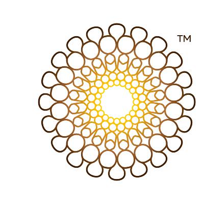 EXPO 2020 Dubai more than 7lac visited in the second week