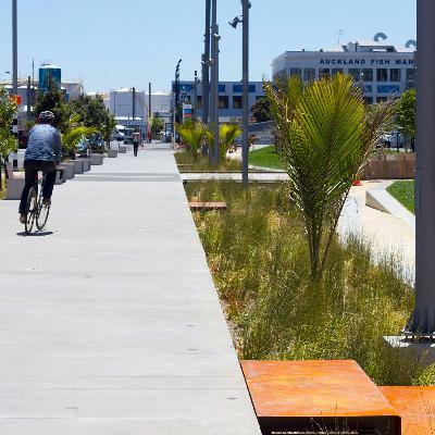 We Talk With Niko Elsen And Roxie Haines