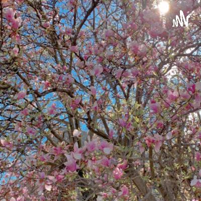 SEGAN segments ep 5- Part 1 SEGAN segments ep 5- Part 1