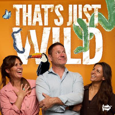 Q&A: Tickling Platypus, Poetic Petrels and the Bloody-nosed Beetle