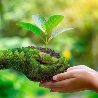 Cuidemos nuestro aire