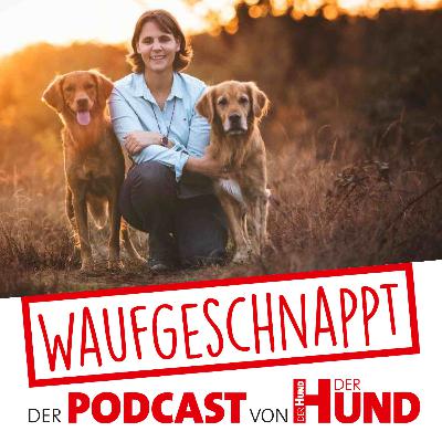 Rudelliebe - Annika Nowatzek