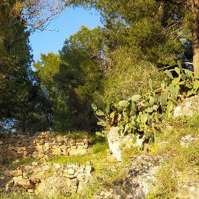 12. Sempre sarai 12. Sempre sarai