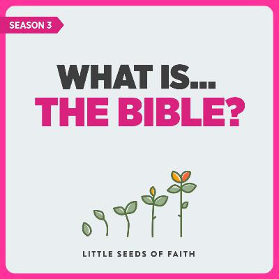 What is...the Bible?