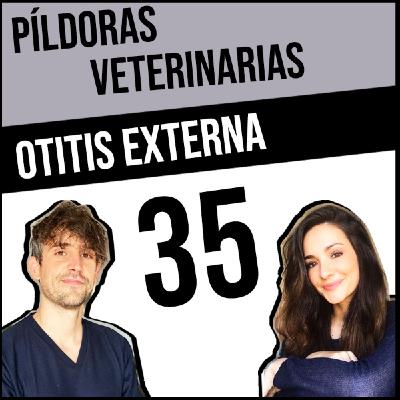 35.Otitis externa #Veterinaria #Perro #Gato