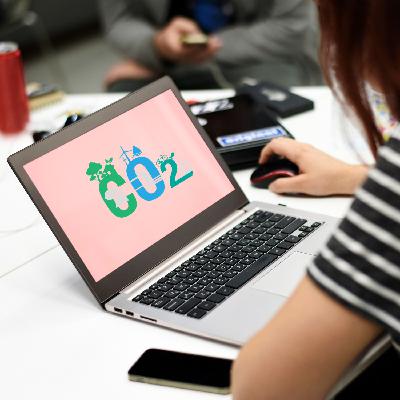 Vol 36 . 社会学家的视角：组织环境、环境NGO和双碳政策参与