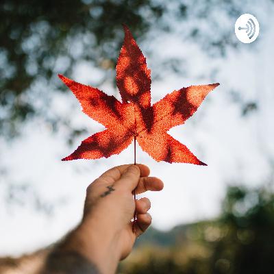 Introduction to my podcast & sneak peek to the following session Introduction to my podcast & sneak peek to the following session