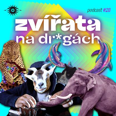 Jak fetuji zvířata?